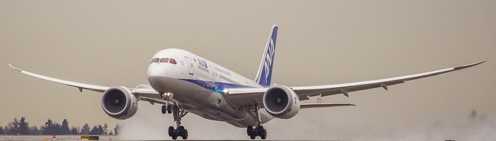 2016111 ANA 100,000th 787 Flight